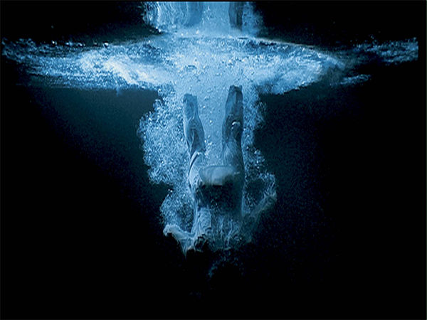 BILL VIOLA