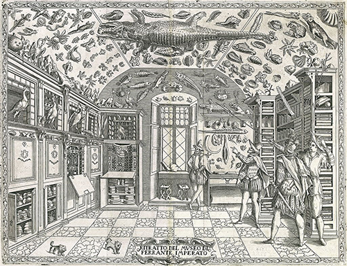 Museo Ferrante Imperato 1599 Napoli