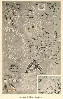 Robert Koch prima fotografia microscopica