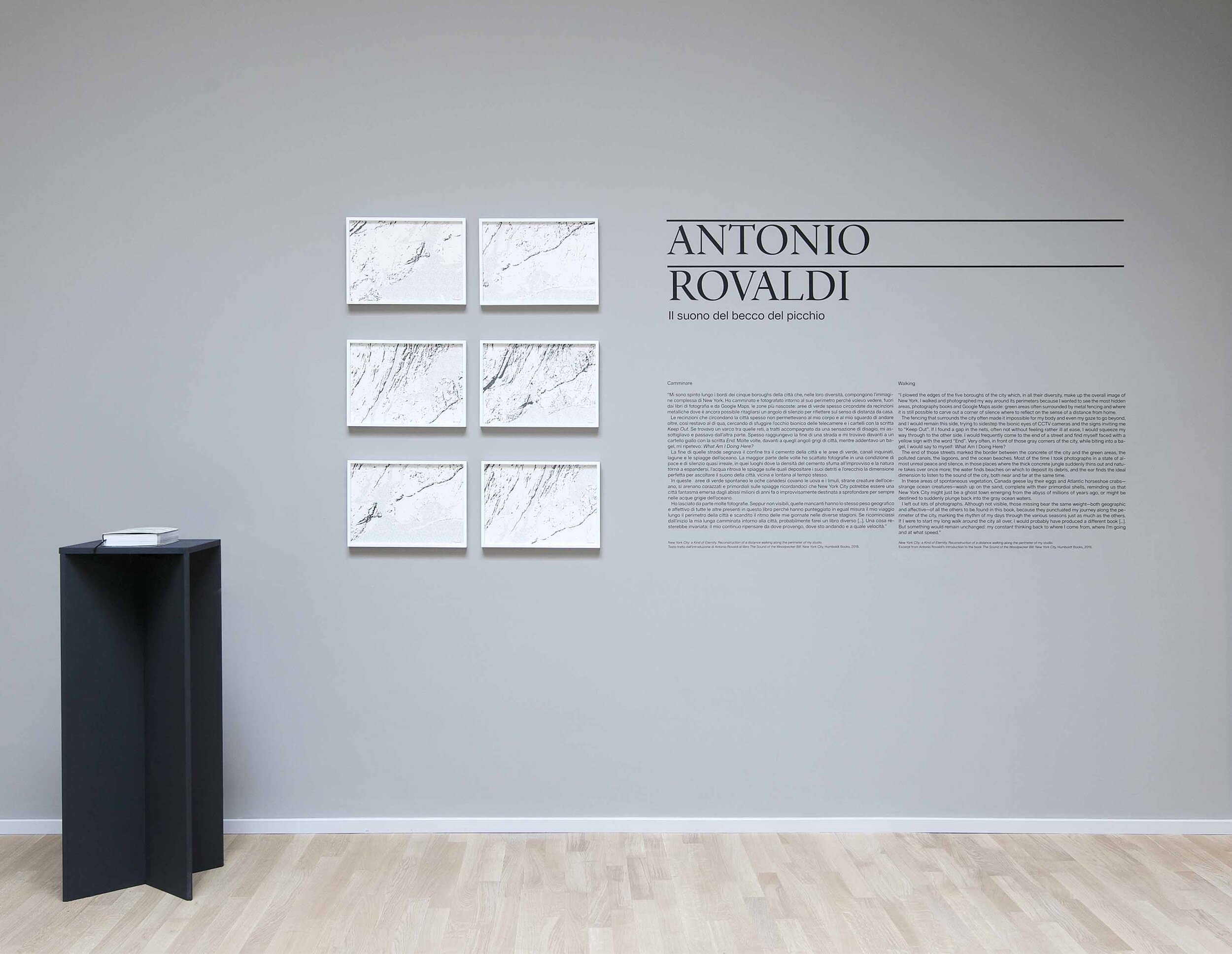 Rovaldi036