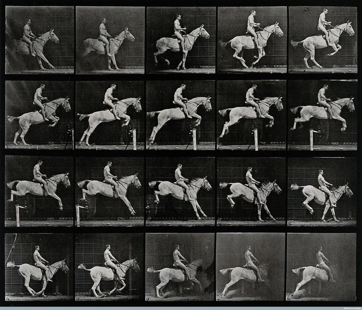 Muybridge A horse jumping a hurdle 1887 255 x 30 cm Wellcome Library di Londra